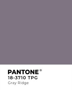 Cuadro Pantone