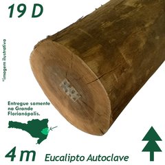 Viga de Eucalipto Autoclave Diâmetro de 19 x 400 cm - comprar online