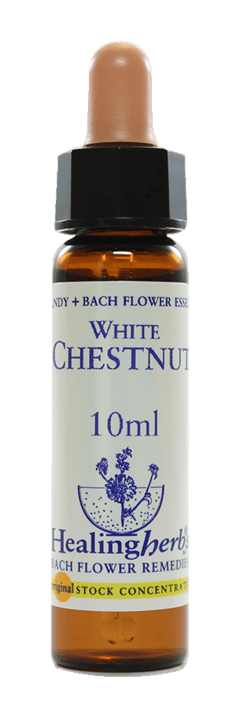 WHITE CHESTNUT FLORAL DE BACH 10ML - comprar online