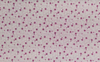 Retalho de Tecido Tricoline Estampado fundo rosa com flores pink e ramos brancos 35x25cm- cod 61638