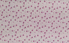 Retalho de Tecido Tricoline Estampado fundo rosa com flores pink e ramos brancos 40x40cm- cod 61638