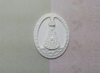 Aplique RESINA medalha Nossa Senhora Aparecida 4x3cm - cod 214