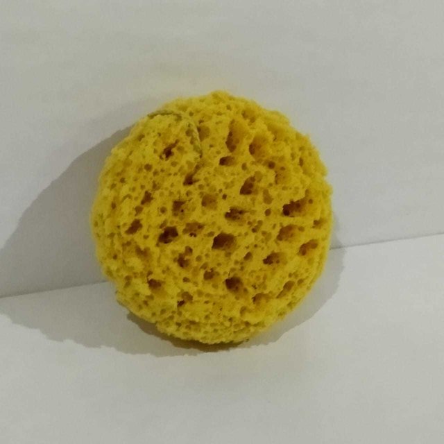 Esponja Natural Infantil Honeycomb, Productos