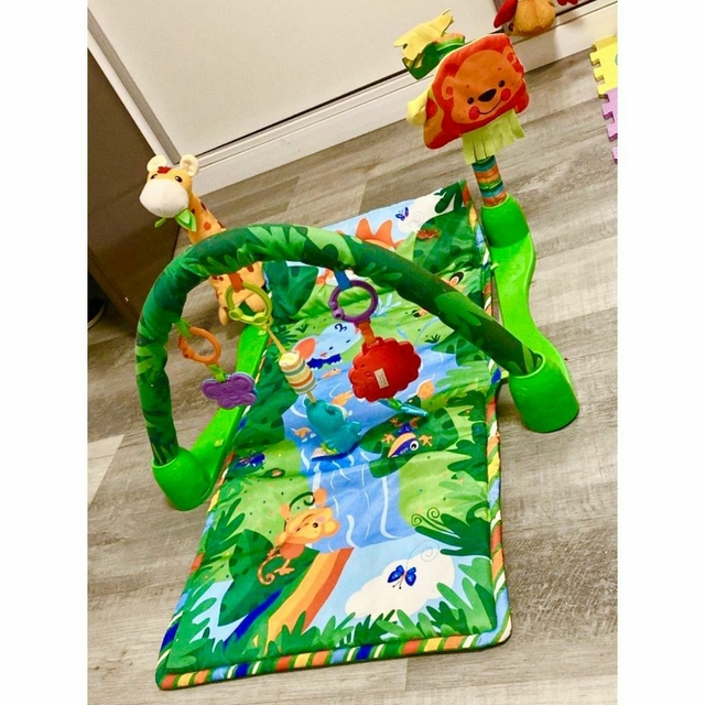 Gimnasio Selva Fisher Price