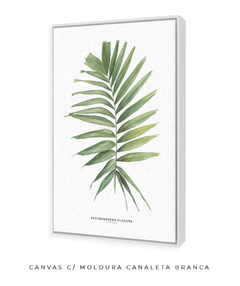 Quadro decorativo Palm Elegans - loja online