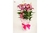 Lírio rosa embalado no papel colorido e laços. Vaso perfumado ideal para ocasiões especiais.
