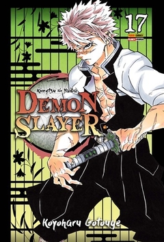 Demon Slayer - 17