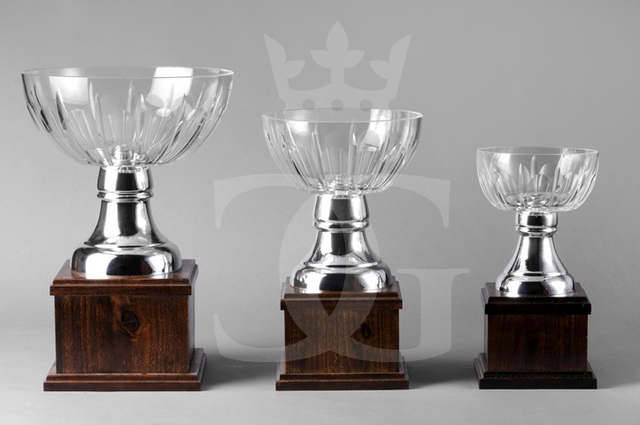 Trofeos personalizados ※ Fabricamos trofeos a tu gusto ※ Fundesti