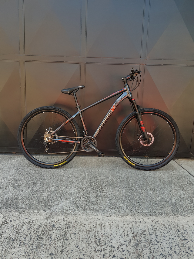 Mtb moove 29 hot sale