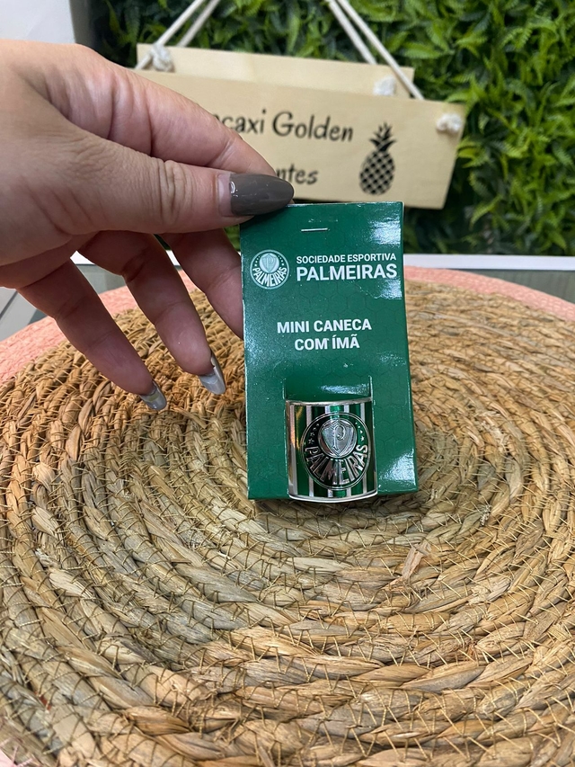 Imã Caneca Palmeiras Abacaxi Golden Presentes