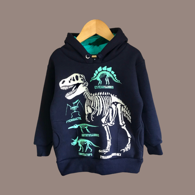 BUZO FRISA DINOSAURIO