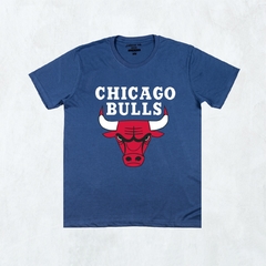 CHICAGO BULLS en internet