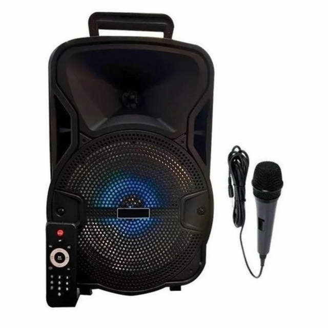 Parlante Portátil Inalámbrico Bluetooth Karaoke Grande Caja netmak