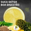 Boa Digestão (abacaxi, hortelã e linhaça) - 300ml
