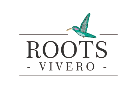 Vivero Roots