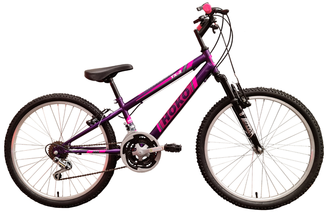 Bicicleta rodado 24 discount con cambios para niños