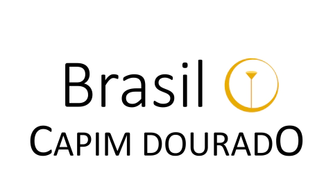  Brasil Capim Dourado - Compre acessórios de Capim Dourado