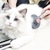 Imagem do Gato escova cão pente de cabelo remove pet pente de cabelo para gato grooming cabelo cleaner limpeza beleza produtos auto limpeza slicker escova