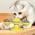 Imagem do Brinquedo portátil interativo para gatos