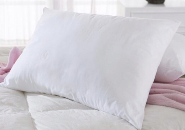 Almohada premium vell n siliconado Blanco Yedid