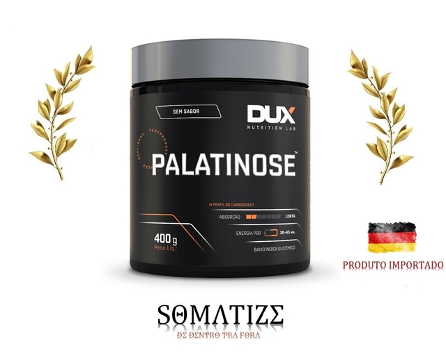 SUPLEMENTO ENERGÉTICO PALATINOSE, 400G