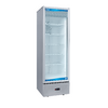 Freezer exhibidor vertical 1 Puerta 375 Lts / ECO-TEV375BTE