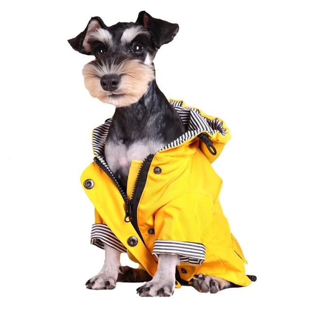 Chubasquero amarillo impermeable amarillo para mascotas, impermeable, con  capucha para perro, chaqueta impermeable ligera para Corgi Tidy Small Dog