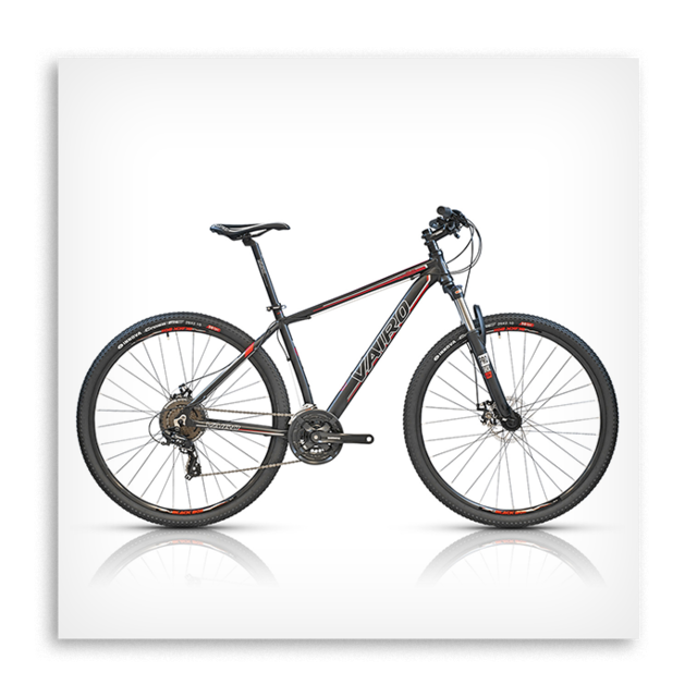 Bici vairo xr online 3.5