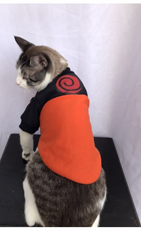 Naruto Vol 2 - Aqui há Gato