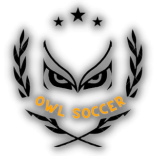 Owl Soccer