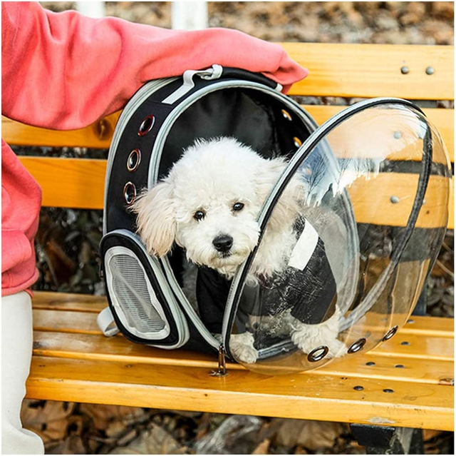 Mochila para llevar online perros