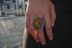 La Naturaleza de la Materia Amber Ring