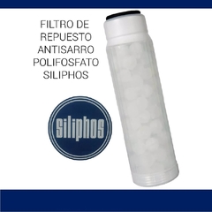 Filtro Antisarro - ESTANDAR POLI-10"x2,5"-Waitec - comprar online