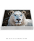 Quadro Decorativo O Leão Branco - loja online