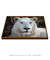 Quadro Decorativo O Leão Branco - Lacalep | A loja dos quadros