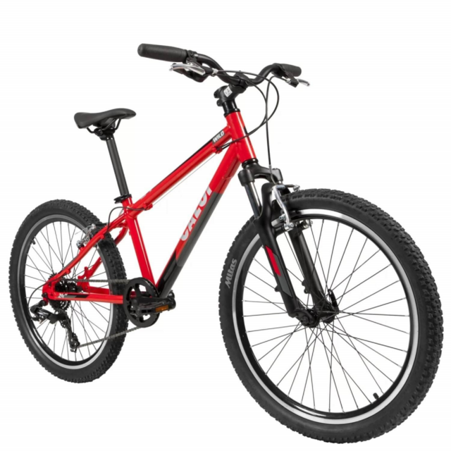 BICICLETA MOUNTAIN BIKE ARO 24 /UNISSEX - VERMELHA - CAEDE - Casa