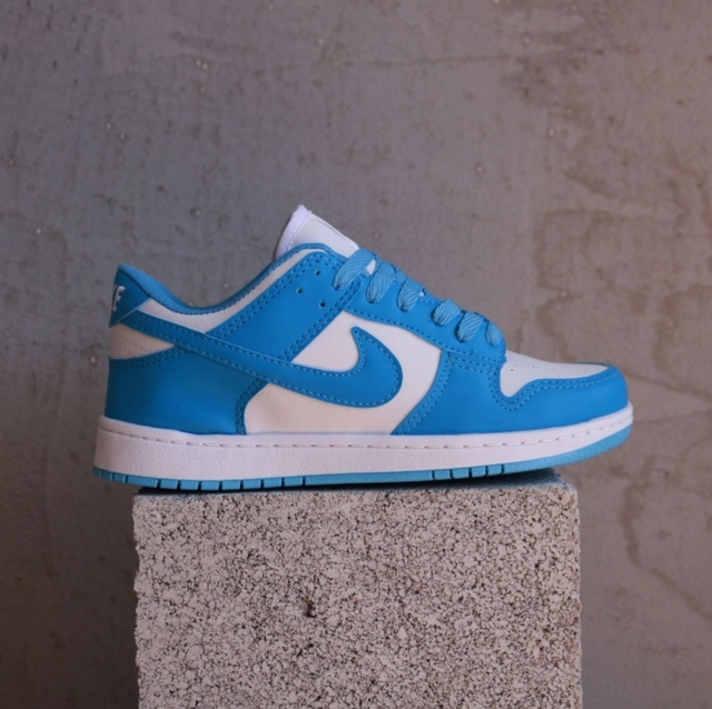 Sb hot sale dunk unc