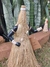 Estatueta Orixá Xapanã Obaluaiê Omulu 44 cm - comprar online