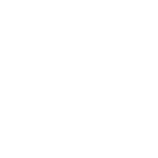 Beautiful Dream Miss