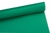 Nylon Dublado Verde Bandeira