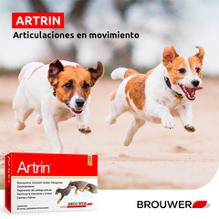 El Artrin comprimidos del Laboratorio Brouwer es un condoprotector y regenerador del cartílago articular, cuya acción permite disminuír la inflamación y el dolor, por lo tanto se lo indica para el tratamiento de la artrosis primaria y secundaria, artritis