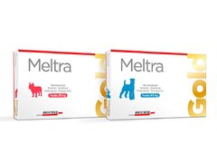 El antiparasitario interno Meltra Gold Comprimidos palatables del Laboratorio Brouwer es una original combinación para el control de nematodos intestinales, Tenias y Giardias en caninos.