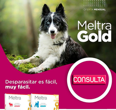 Meltra Gold comprimidos palatables 20 Kg y 60 Kg del Laboratorio Brouwer es una combinación para el control de nematodos intestinales, Tenias y Giardias en caninos