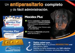 Moxidex Plus comprimidos para caninos y felinos