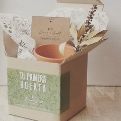 Set de siembra " Tu primera huerta"