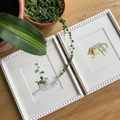 2 / Serie Plantas / Mercedes Miró - elpezenmarcado