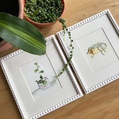 1 / Serie Plantas / Mercedes Miró - elpezenmarcado