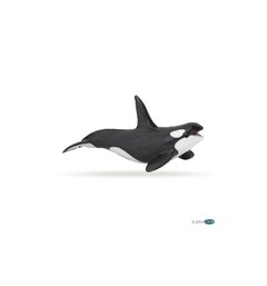 ORCA - PAPO