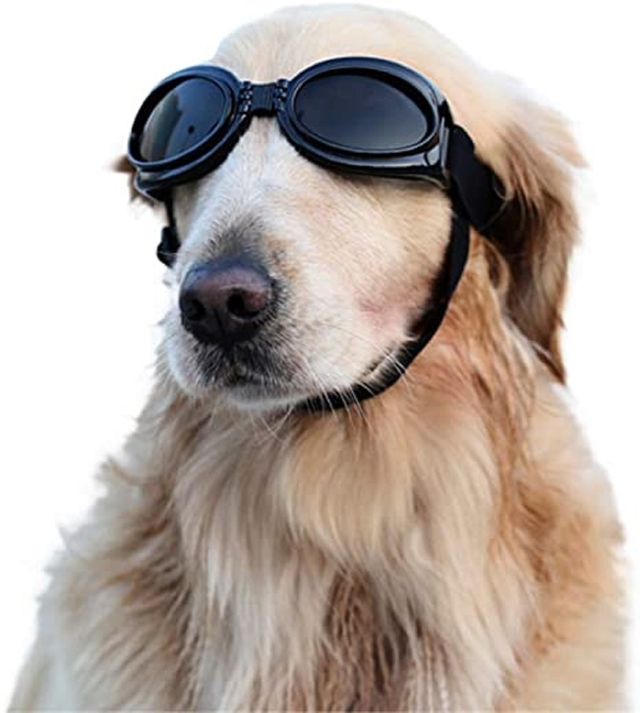 Lentes de sol para perros online