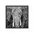 Elefante en blanco y negro - Sur Arte Shop - Láminas y Cuadros